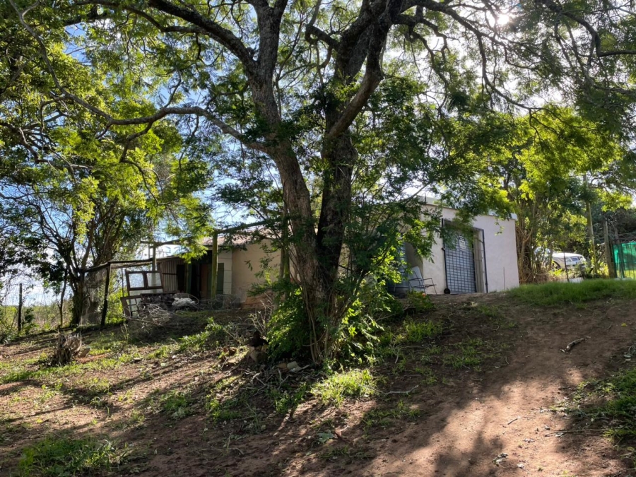 3 Bedroom Property for Sale in Bathurst Eastern Cape